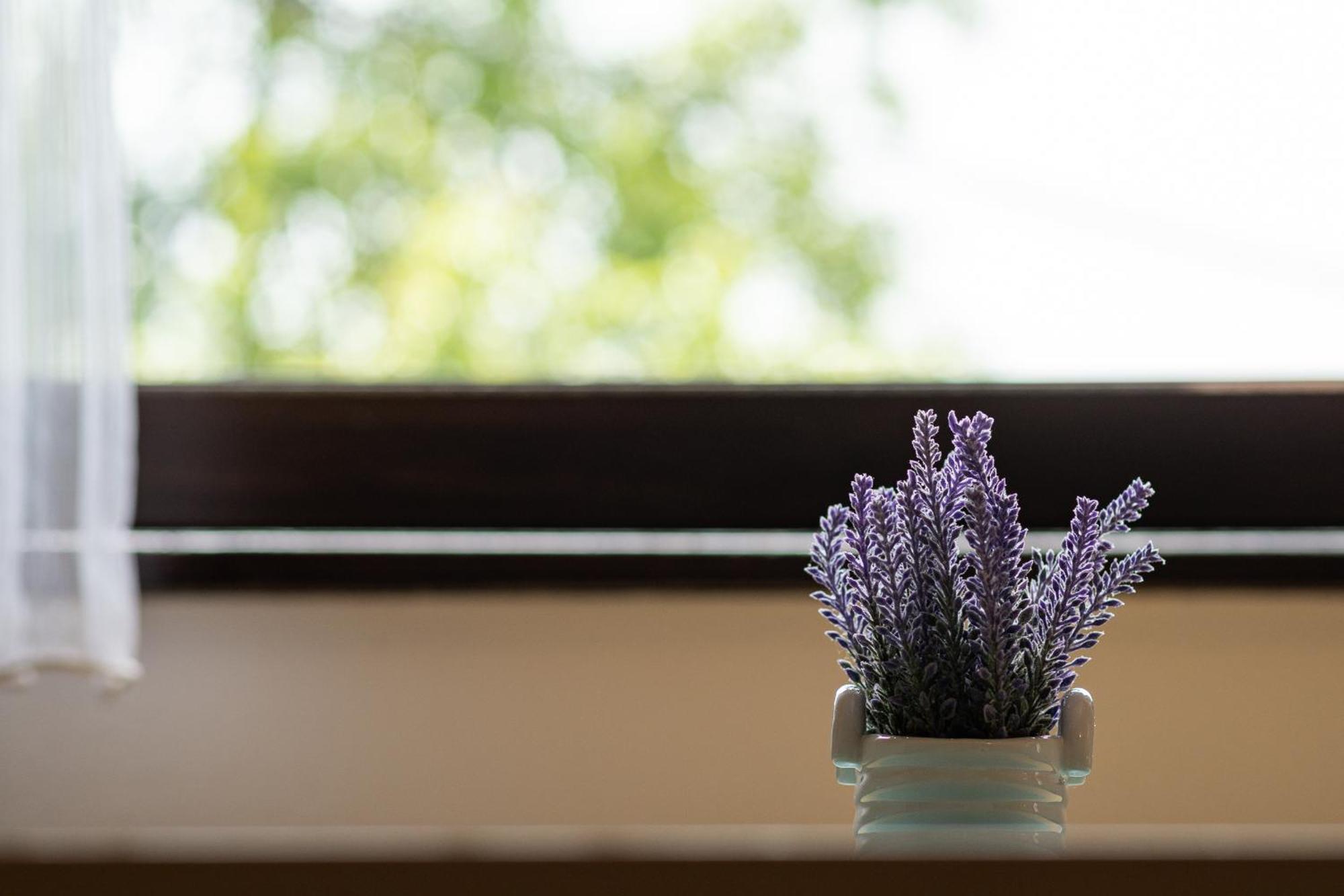 Apartments Patar グラボヴァツ 部屋 写真
